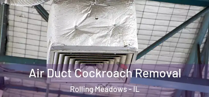  Air Duct Cockroach Removal Rolling Meadows - IL