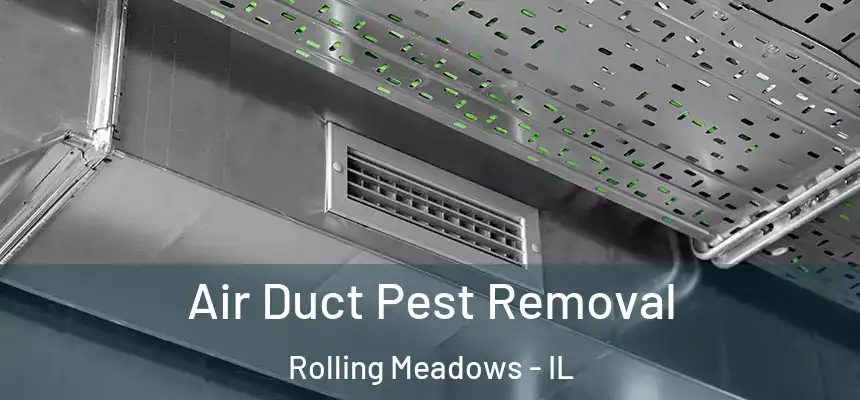 Air Duct Pest Removal Rolling Meadows - IL