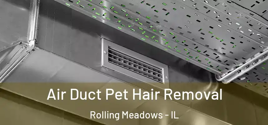 Air Duct Pet Hair Removal Rolling Meadows - IL