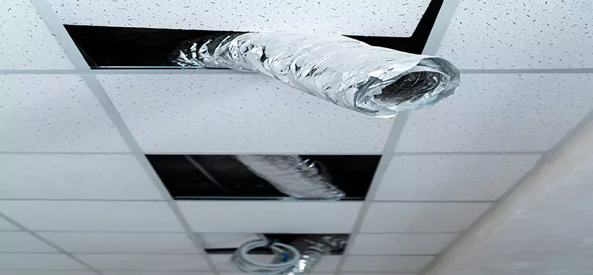 Affordable HVAC Sanitizing After Pest Removal in Rolling Meadows