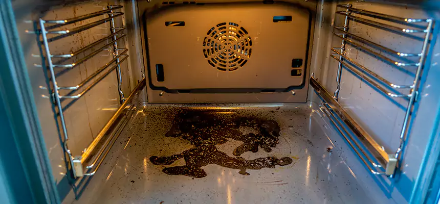 Our Dryer Vent Mold Cleaning Services in Rolling Meadows, IL