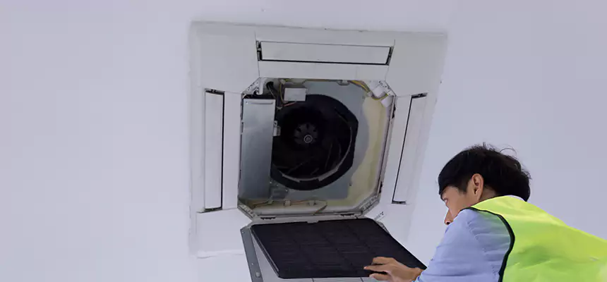 Our Dryer Vent Sanitization Service Services in Rolling Meadows, IL