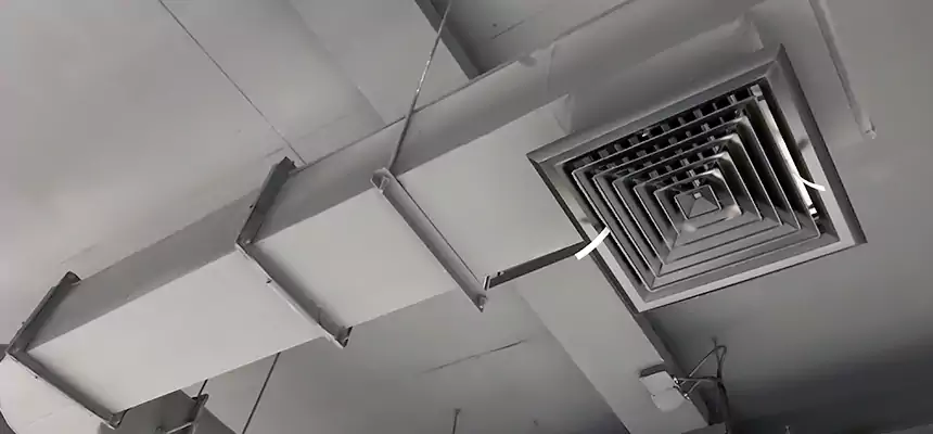 Our Pest Removal From Ducts Services in Rolling Meadows, IL