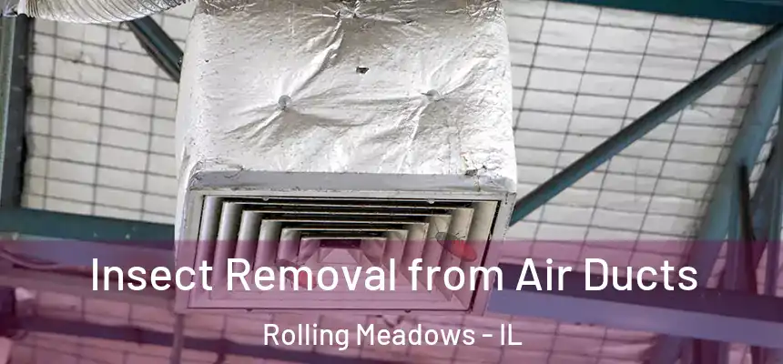 Insect Removal from Air Ducts Rolling Meadows - IL