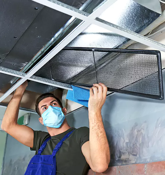 About Air Duct Bacteria Removal in Rolling Meadows