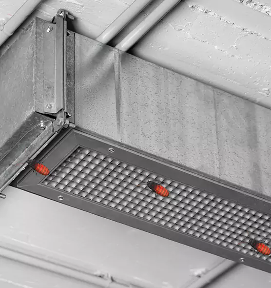 About Air Duct Cockroach Removal in Rolling Meadows, IL