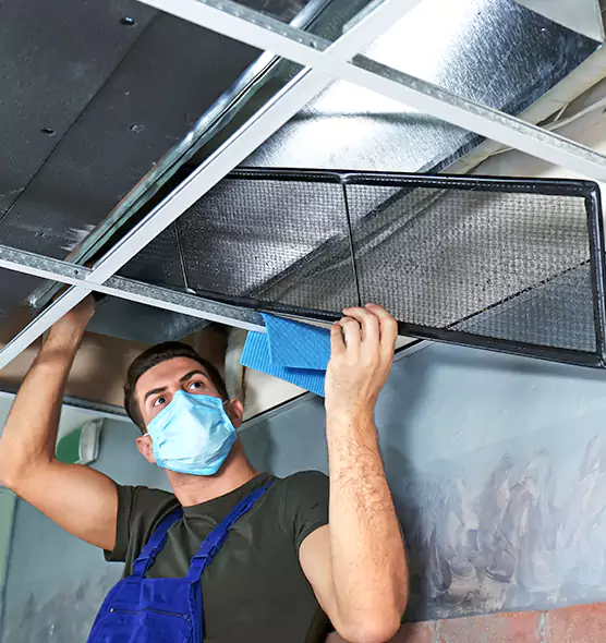 Professional Air Duct Pollen Cleaning in Rolling Meadows, IL