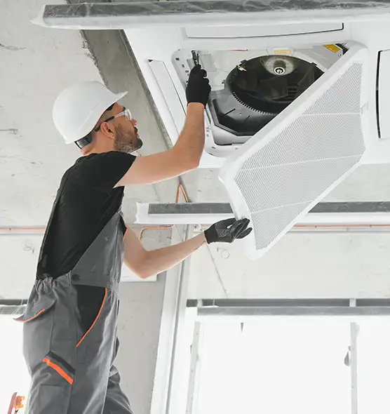 About Air Duct Rodent Removal in Rolling Meadows, IL