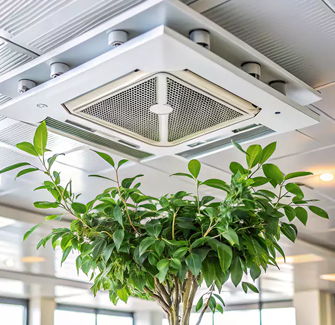 Why Homeowners & Businesses Trust Us in Rolling Meadows, IL